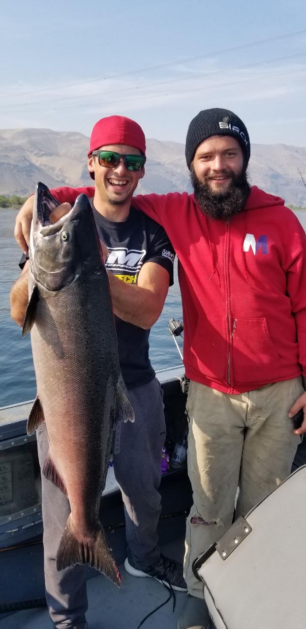 Fall Salmon