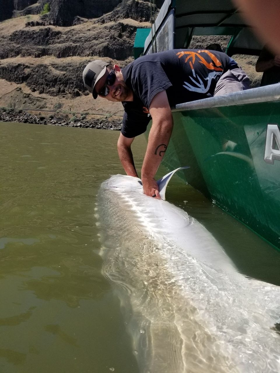 Oversize Sturgeon
